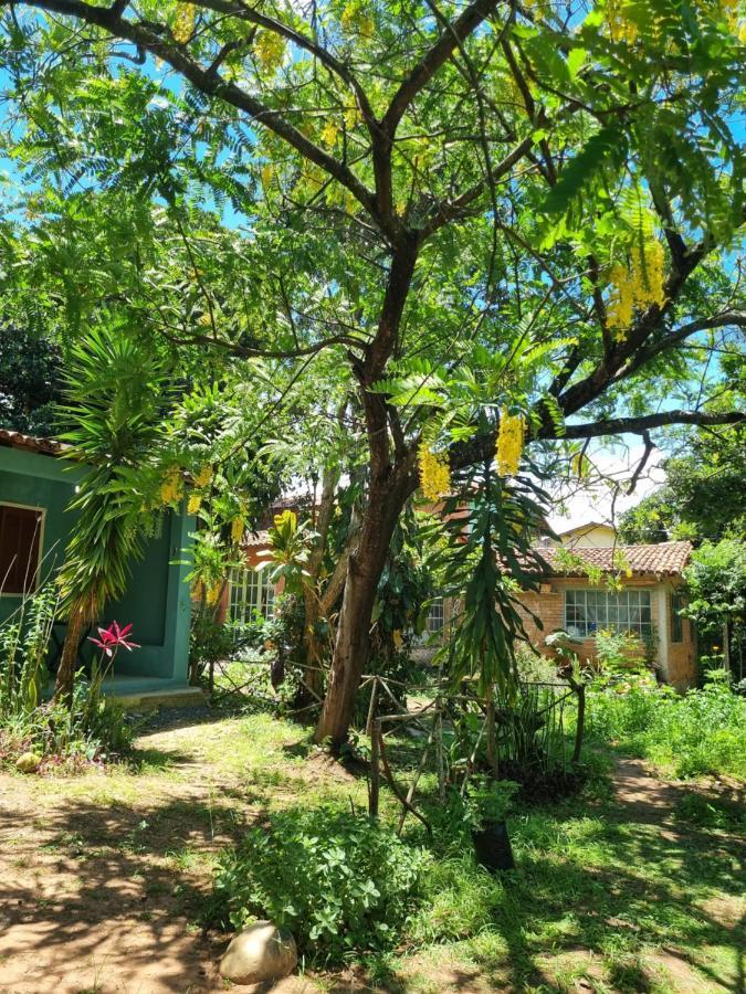 Vila Das Acacias วาเล ดู คาเปา ภายนอก รูปภาพ